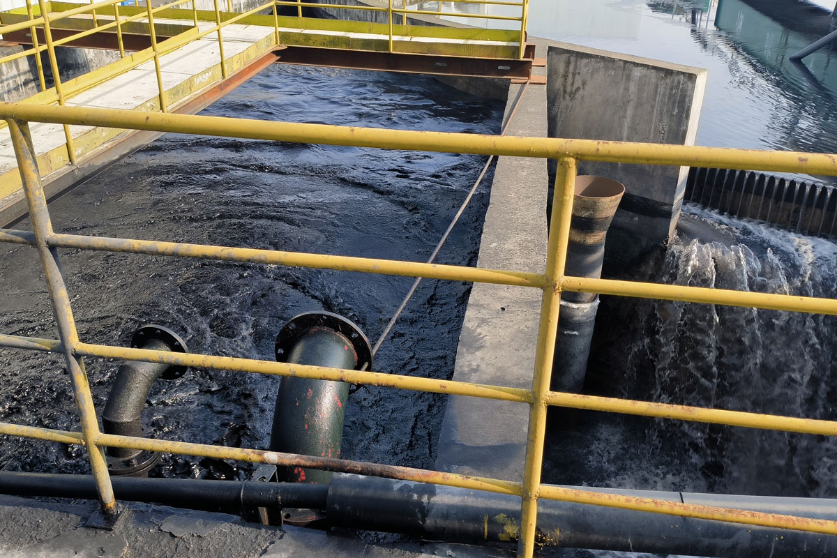 ��ˮ����ҩ����ѡú����Ӧ��